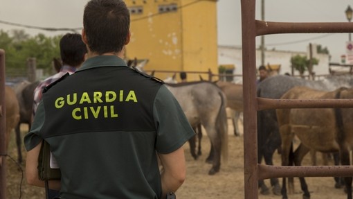 Un guardia civil se sitúa de espaldas a la cámara con una manada de burros delante de él.