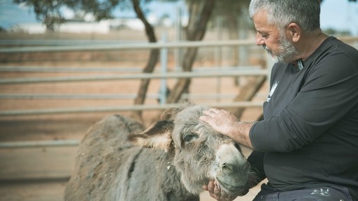  Un hombre mira con cariño a un burro gris que apoya su cabeza entre sus manos.