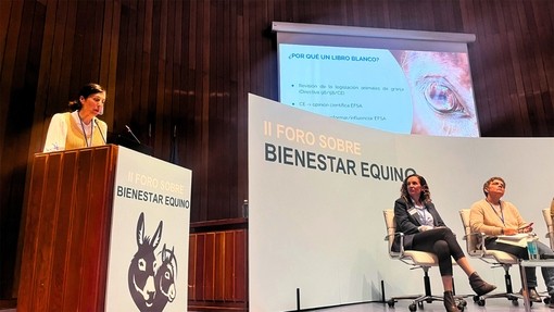  Foro sobre el bienestar equino