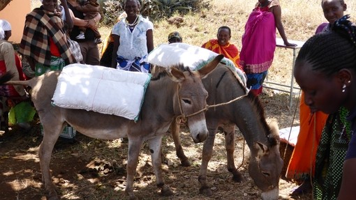  Taller de albardas en Tanzania